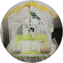 YaDe Ş. profile picture